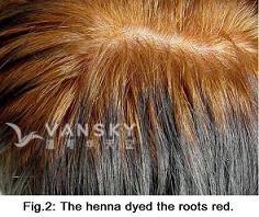 250617143649_Hair-Dying with henna-s.jpg